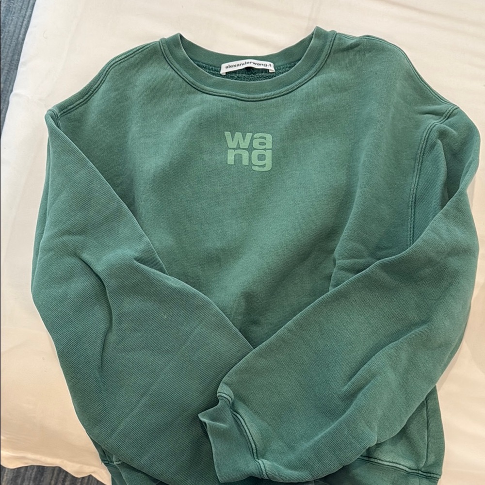 Alexander Wang Green Sweatshirt